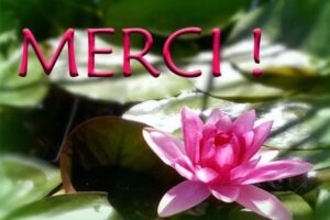 Le message de Christine Ehlen …